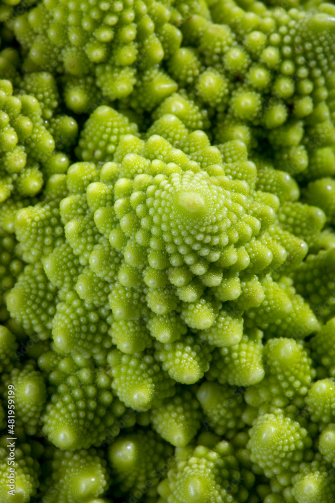 Fragment of cabbage Romanesco broccoli close-up Fragment of cabbage Romanesco broccoli close-up