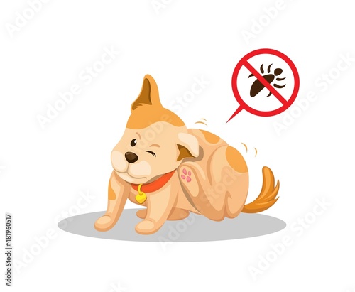 Puppy itchy cause lice, pet problem parasite skin illustration vector