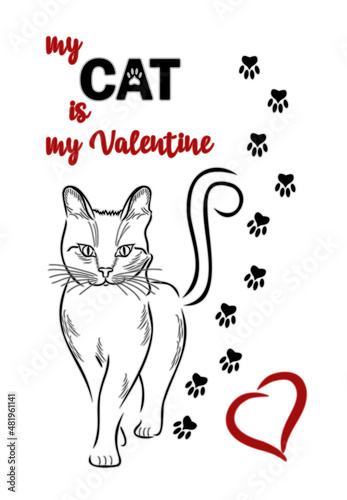 My cat is my valentine, invitation card, vector illustration