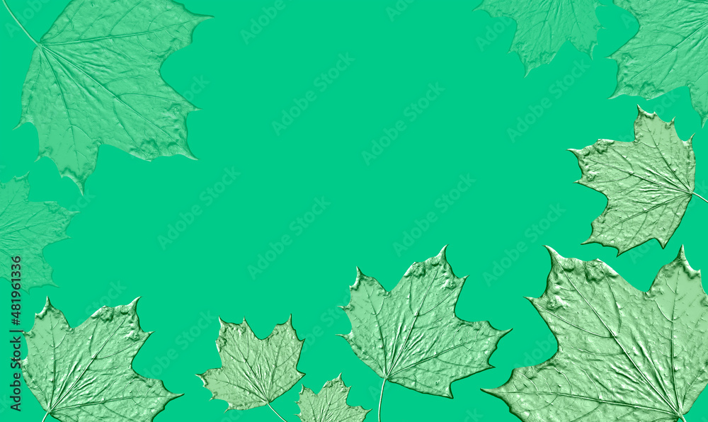 Print leaves on a light colored background. Frame for design, background.