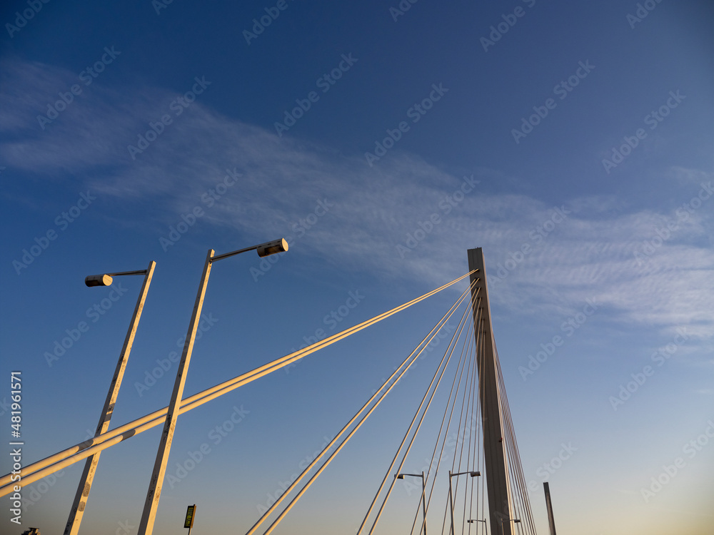 Fototapeta premium 夕陽に照られた吊橋の柱とワイヤーと街灯