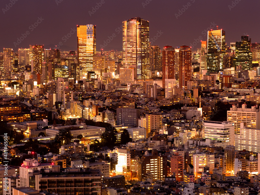 Obraz premium 六本木ヒルズと東京の夜景