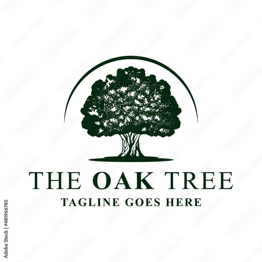 Obraz premium Oak tree logo design template