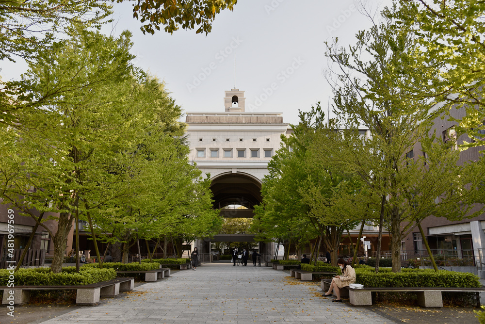 Obraz premium 京都大学の総人広場