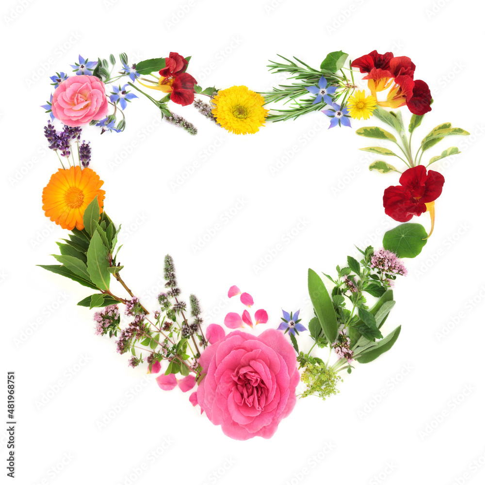 Heart shaped wreath with summer herbs and flowers used in naturopathic herbal plant medicine. Natural flora health care concept, Mothers Day Valentines Day conceptual symbol. On white background, copy
