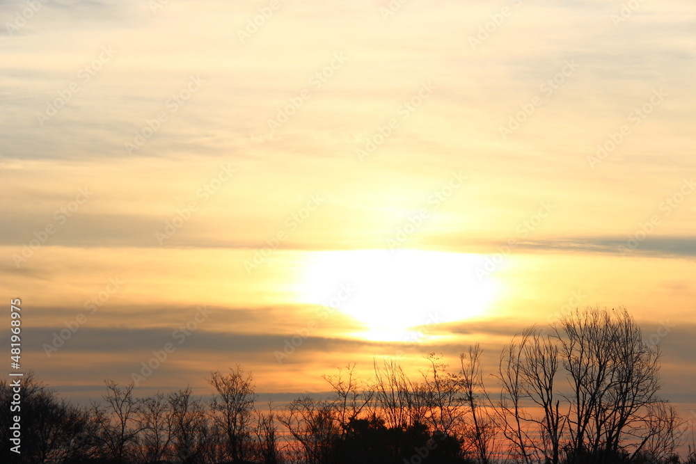 Fototapeta premium Dettagli al tramonto