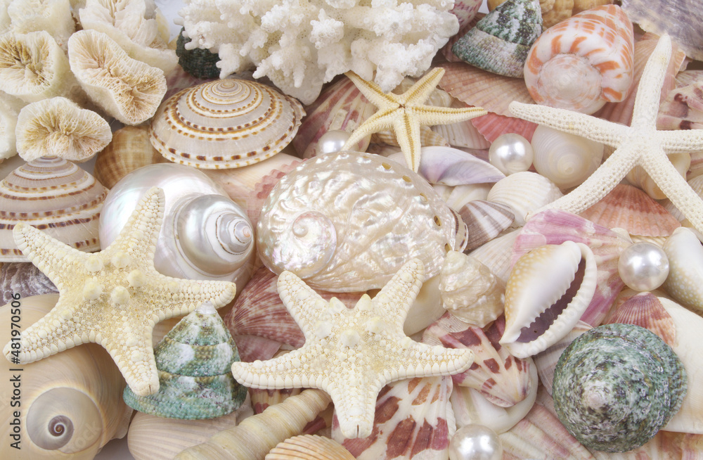 Pearls, starfishes, coral branch on seashells background