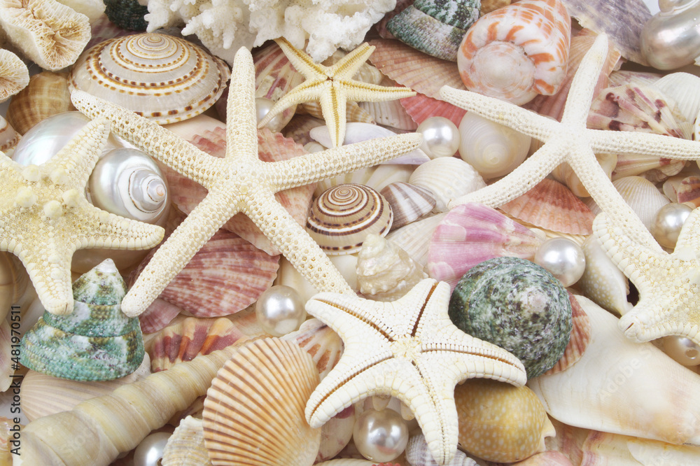 Seashells, pearls and starfishes as background