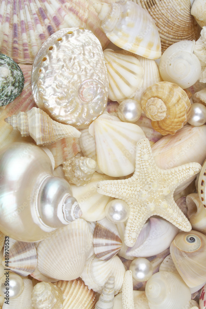 Starfish with pearls and many seashells as background