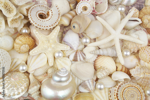 Starfishes and seashells background