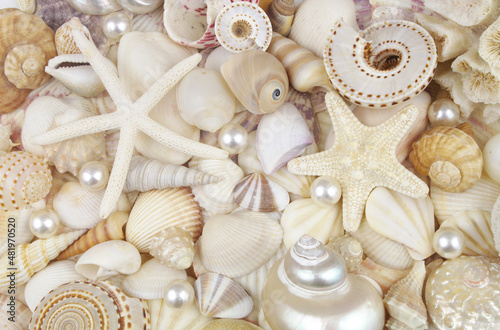 Pearl, sea shells and starfishes as background
