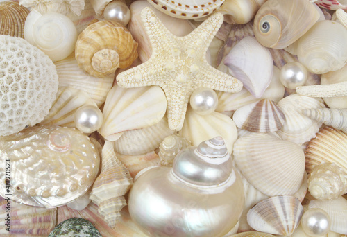 Starfish, seashells and pearls close up