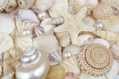 Starfish, pearl and seashells background
