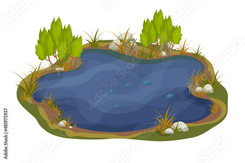 Lake, swamp with stones, bulrush lily leaves in cartoon style isolated on white background. Forest fantasy scene, wild nature.