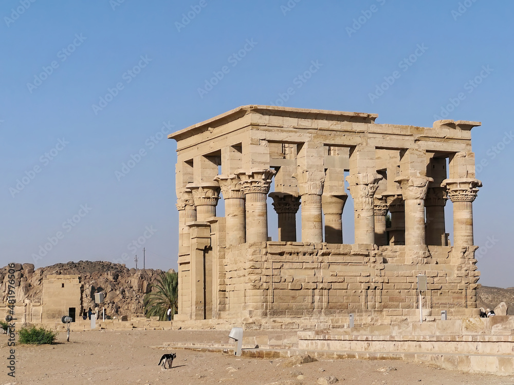 Trajan Kiosk of Philae Temple and little cat walking in the foreground in Aswan City, Egypt 