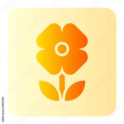 macro gradient icon