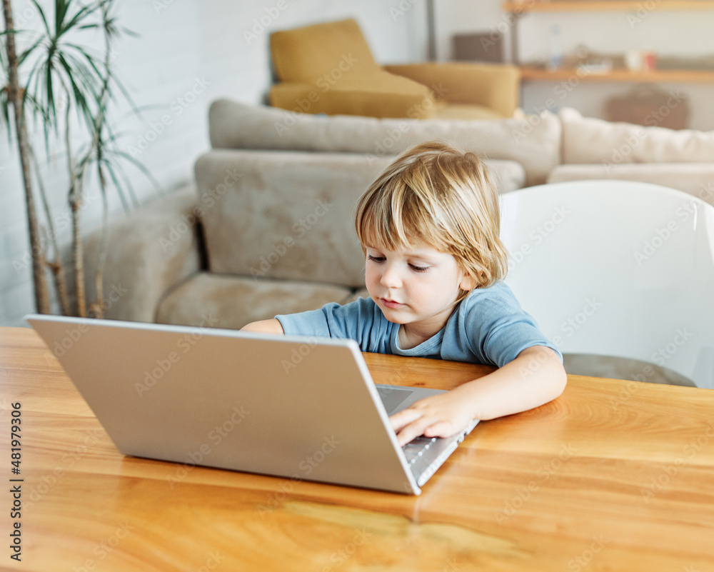child laptop computer technology home boy son man education homework kid learning internet childhood student sitting connection using online child laptop computer technology home boy son man education homework kid learning internet childhood student sitting connection using online