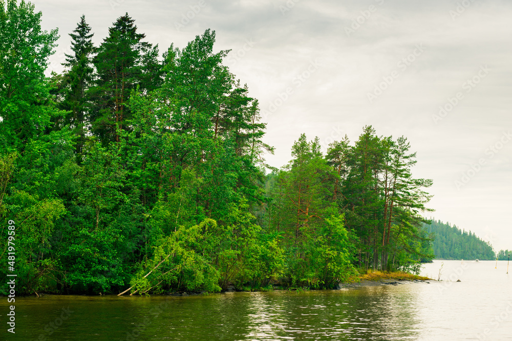North Karelia lake, Russian wild nature. Forest growing on the stones North Karelia lake, Russian wild nature. Forest growing on the stones