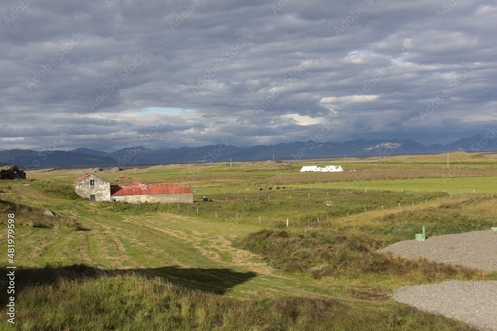 Fototapeta premium champ sous l orage