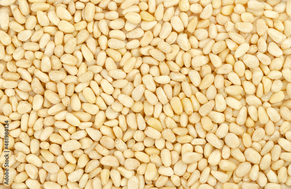 Pine nuts, surface and background. Beige and raw edible seeds of Chinese white pine, Pinus armandii. Also called pinon, pinoli and pignoli, are used for pesto, added to dishes or baked into bread.