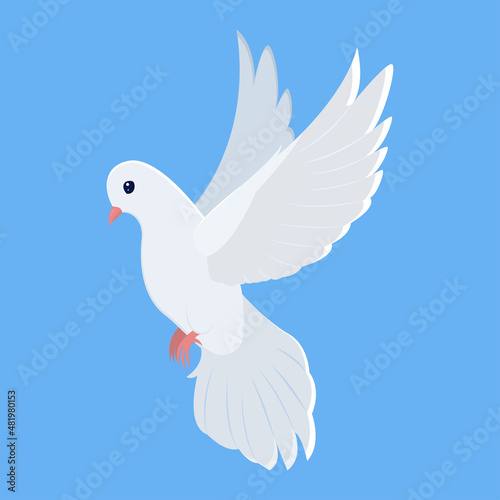 Flying white dove