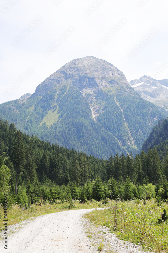 Fototapeta premium Koetschachtal valley in Gasteinertal, Austria 