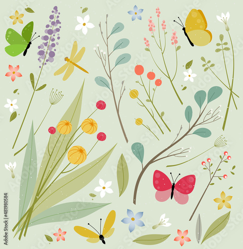 Set of flowers butterflies dragonflies, berries. Vector illustration