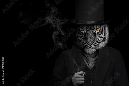 Man in the form of a Tiger mammal , The Tiger person smoking , animal face isolated black white photo