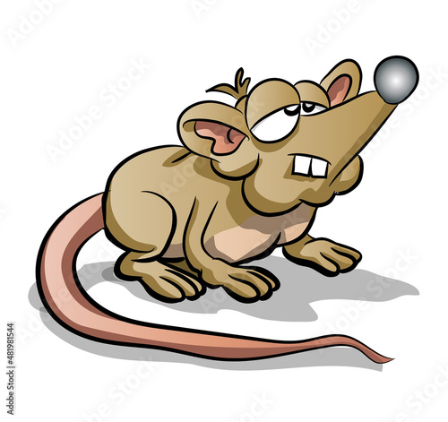 rat with tail