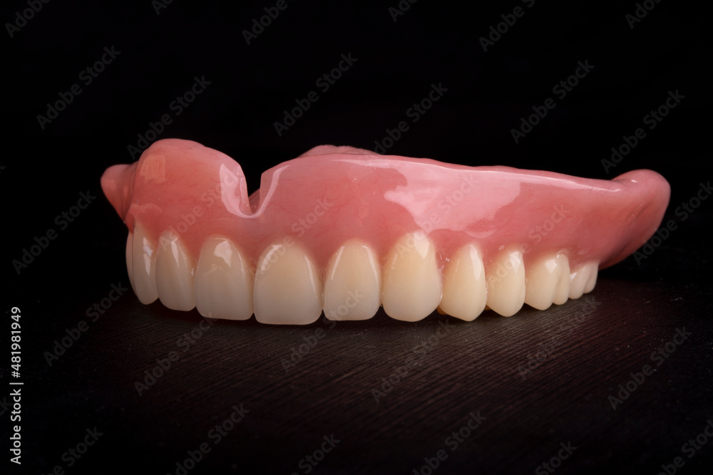 False jaw for a person without teeth False jaw for a person without teeth