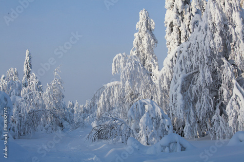 Winter road for traveling through the winter forest on a sunny day. Winter tourism