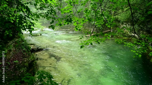 Crystal clear water in a mountain stream - High water quality from a natural source photo