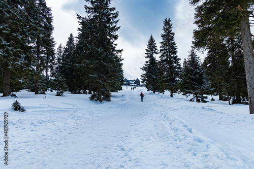 Long mountain trail full of fresh snow at cloudy morning