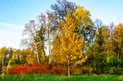 Autumn landscape in the Pavlovsk Park near St. Petersburg. Autumn  2021.