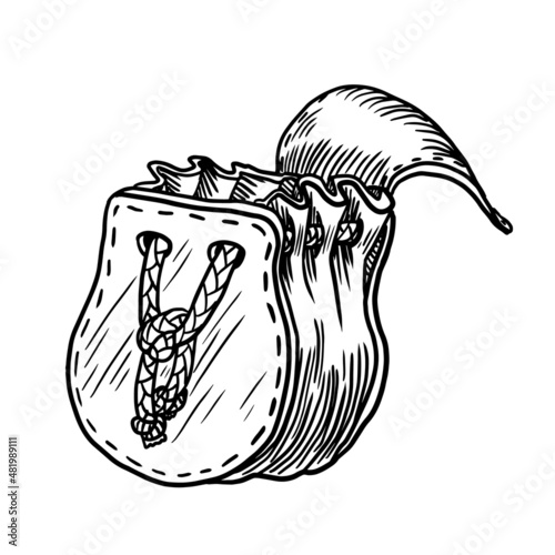 vintage purse vector illustration on white background