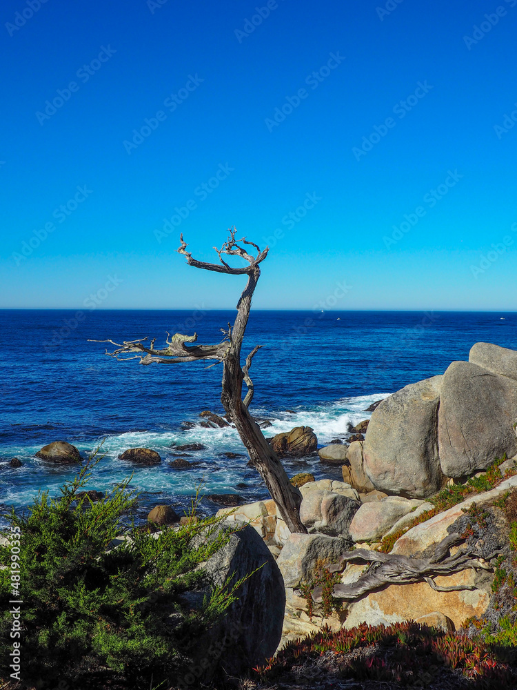 California Shore near Camel-by-the-Sea, California USA California Shore near Camel-by-the-Sea, California USA
