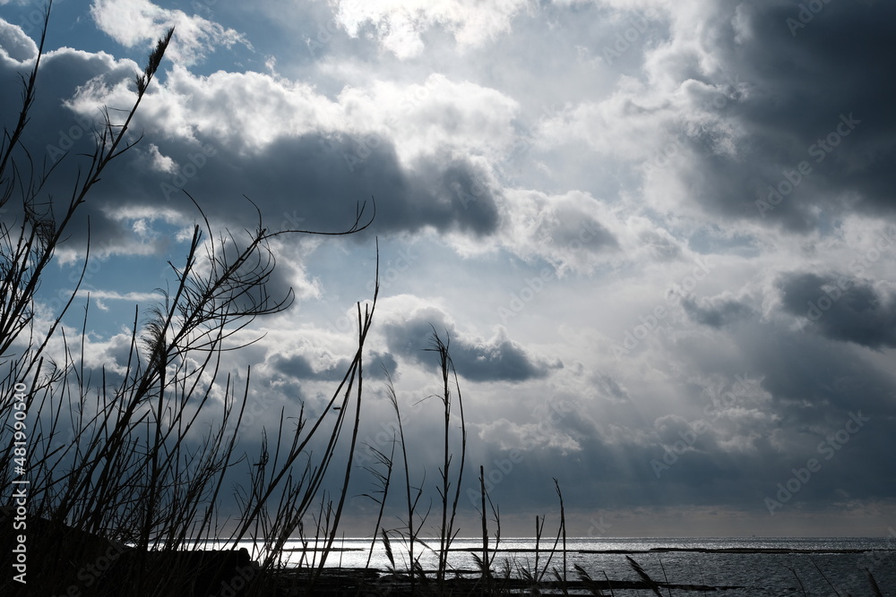 海と空 Stock Photo Adobe Stock