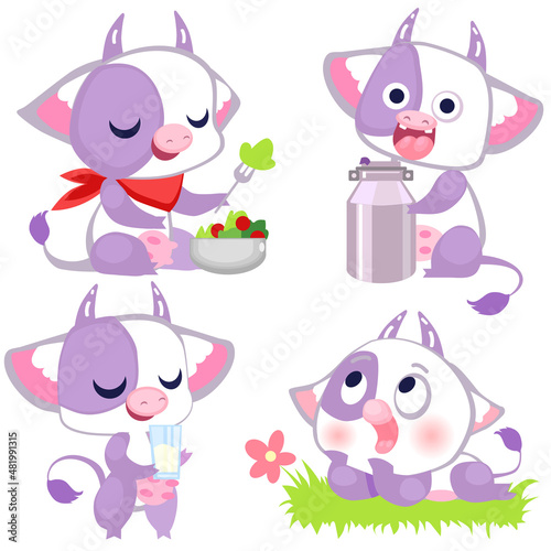 Set of cartoon cows with a milk can isolated on a white background. Happy cow is lying on the grass.