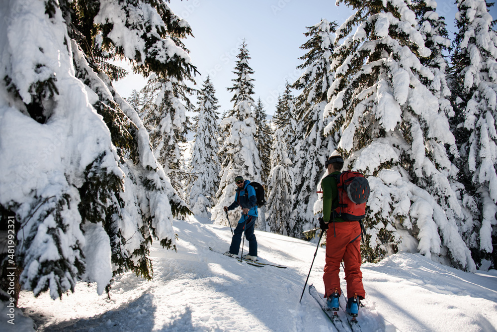 Men with ski equipment walks along winter snowy path among snow-covered fir trees