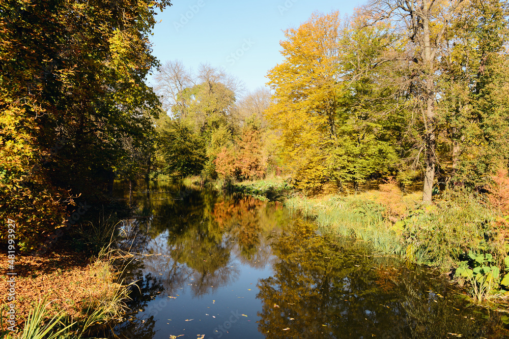 Beautiful view of lake in autumn park