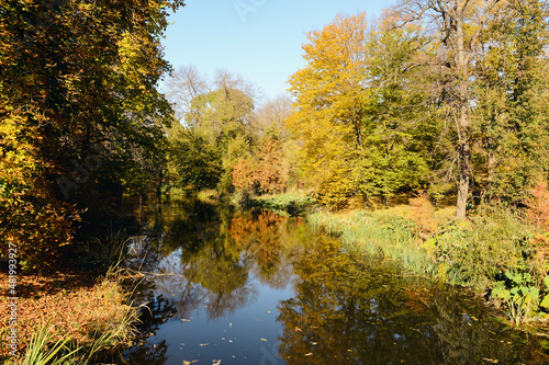 Beautiful view of lake in autumn park