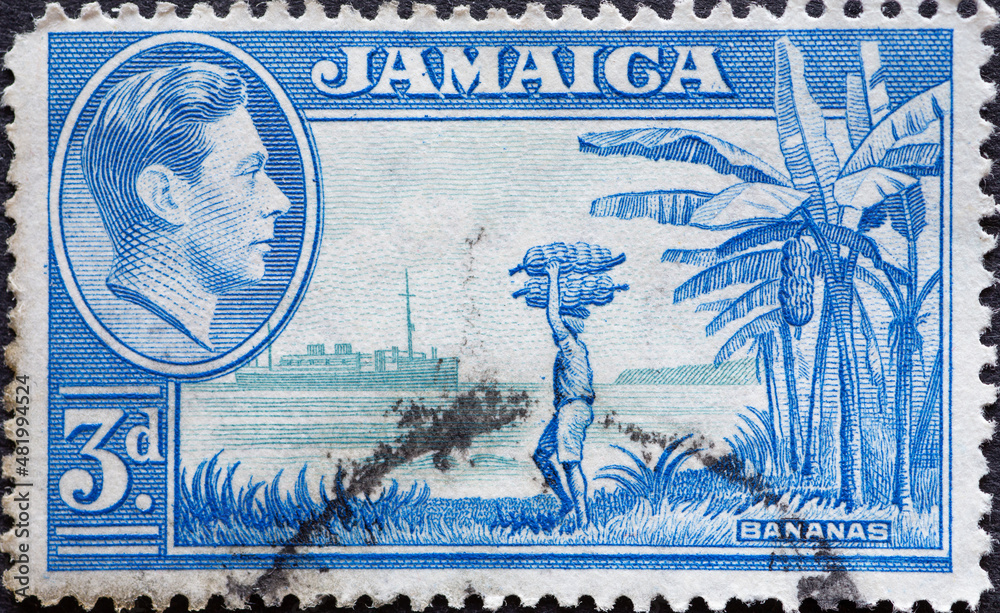 Jamaica circa 1949 a postage stamp from Jamaica, showing a banana