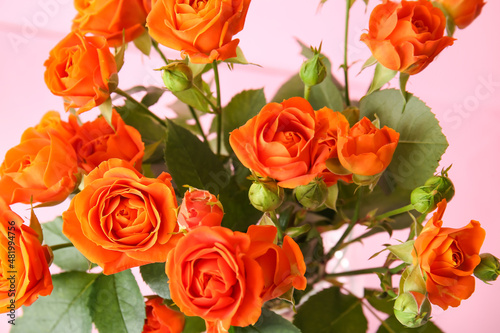 Bouquet of beautiful orange roses on pink background