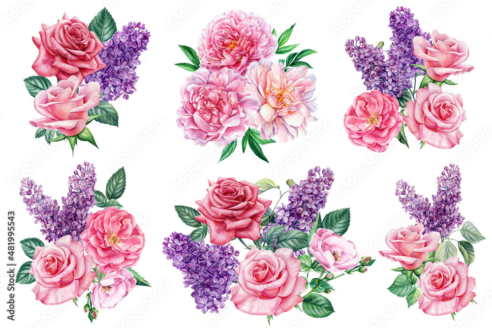 Bouquet Watercolor peony, rose, lilac isolated on white background. botanical painting