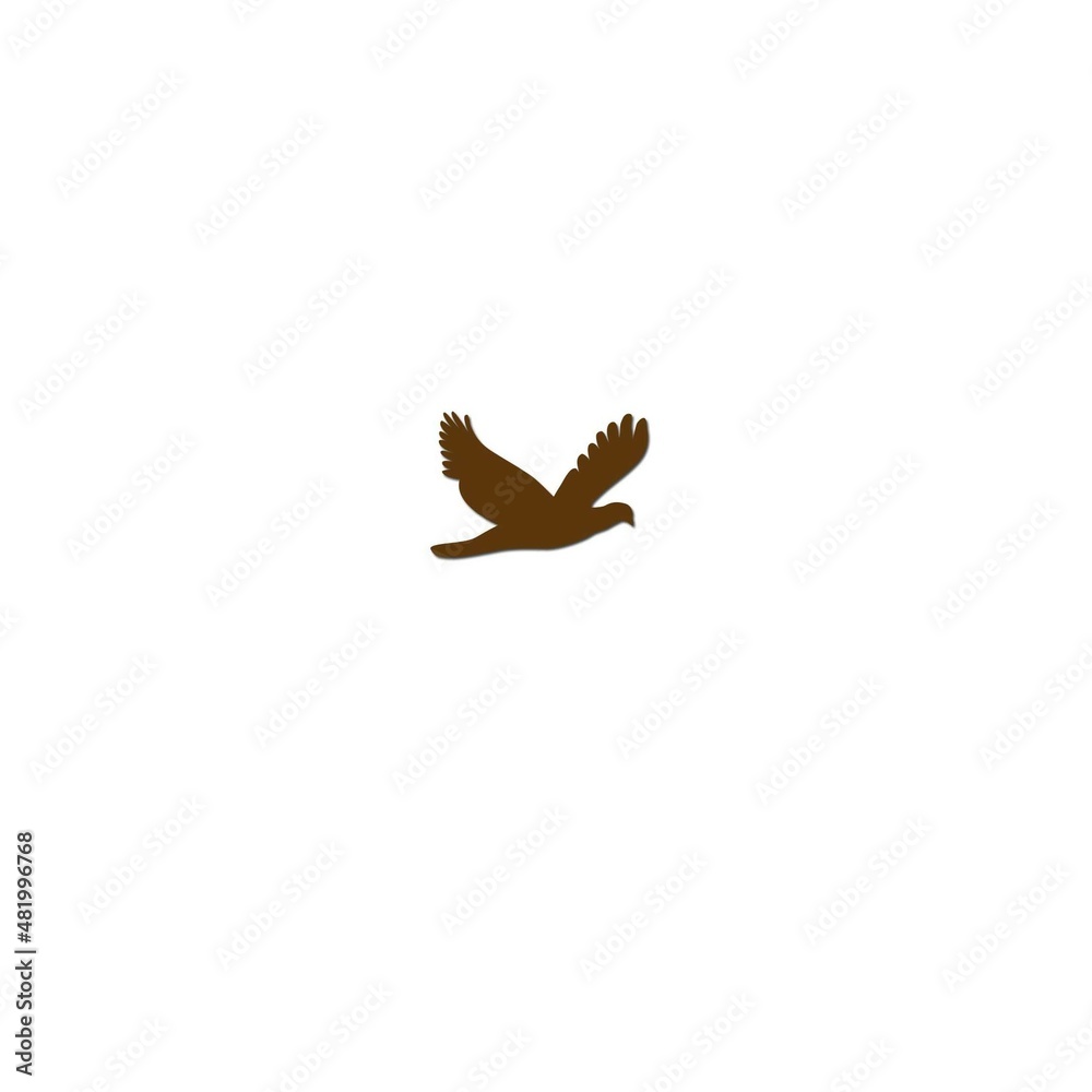 Obraz premium flying brown bird ilustrations in photoshop