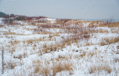 Wallpaper Mural Sandy dunes covered by snow by  the Baltic sea in foggy winter afternoon. Yellow and red grass and bushes Torontodigital.ca