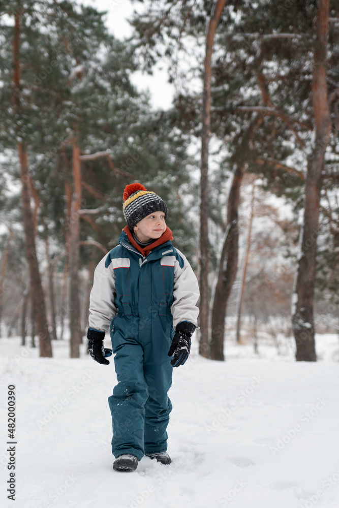 Funny child stands in snowy forest and looks into distance. Boy stands against of beautiful winter landscape