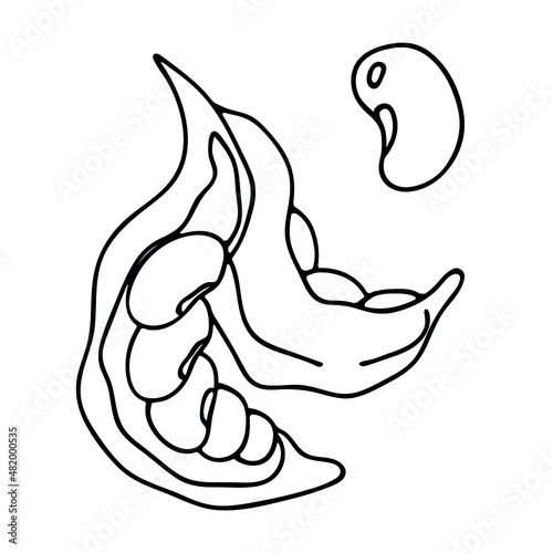 Peas, bean logo. Organic vegetarian food, a source of protein. Isolated vector element of the black line.
