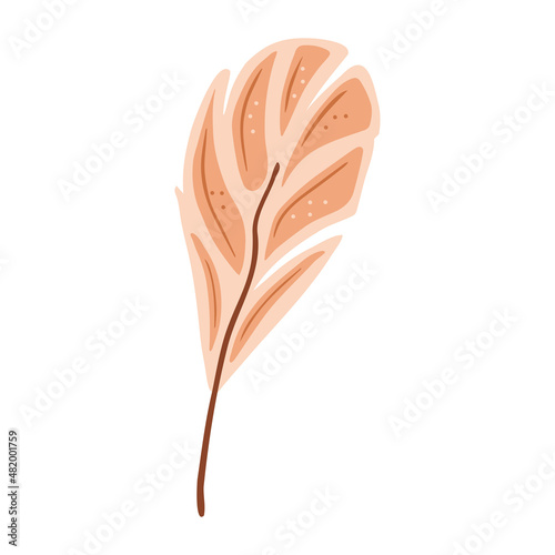 Hand drawn bird feather isolated on a white background. Doodle, illustration in a simple flat style. It can be used for decoration of textile, paper and other surfaces.