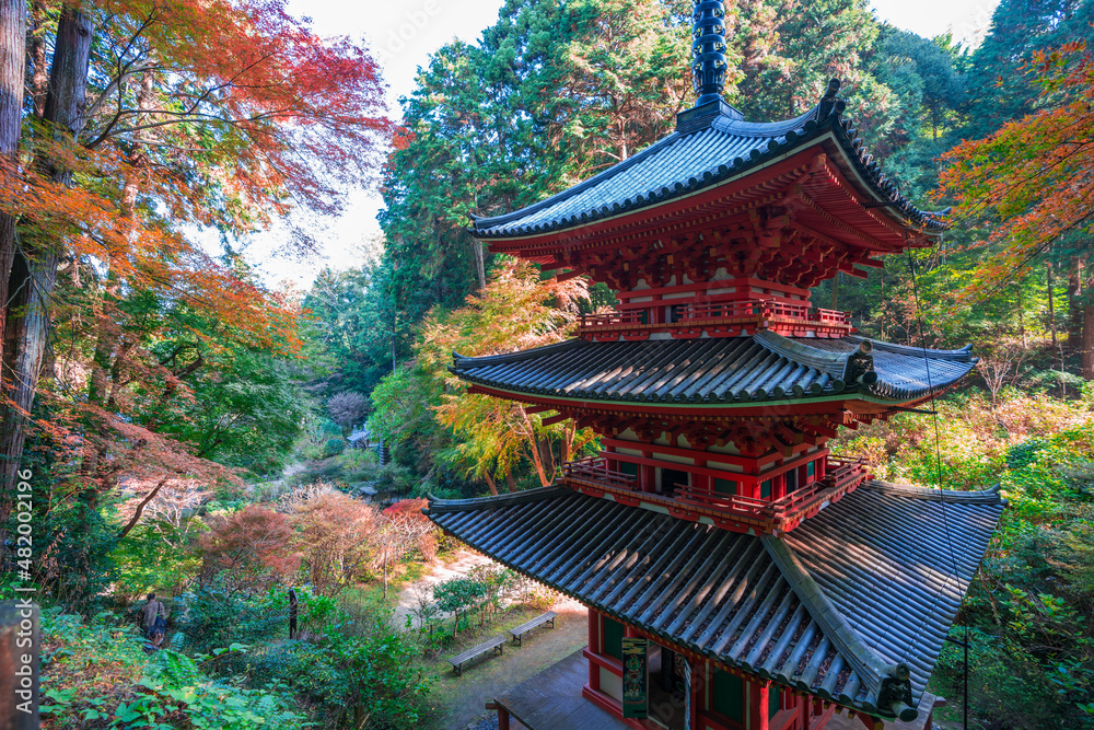 京都　岩船寺（がんせんじ）の三重塔と紅葉